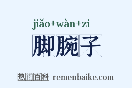 脚腕子是什么意思的图片